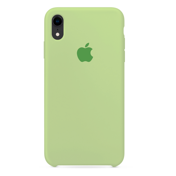 Verde Hortelã para iPhone Xr