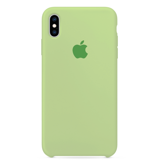 Verde Hortelã para iPhone Xs