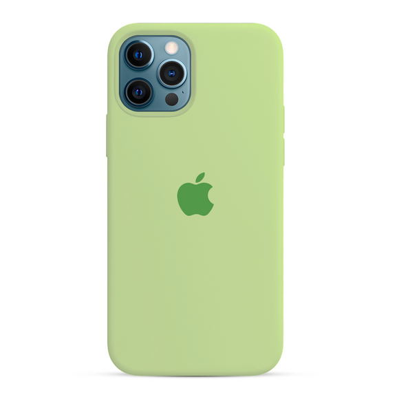 Verde Hortelã para iPhone 12 Pro Max